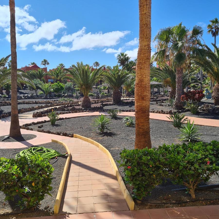 Oasis Royal F217 Daire Corralejo Dış mekan fotoğraf